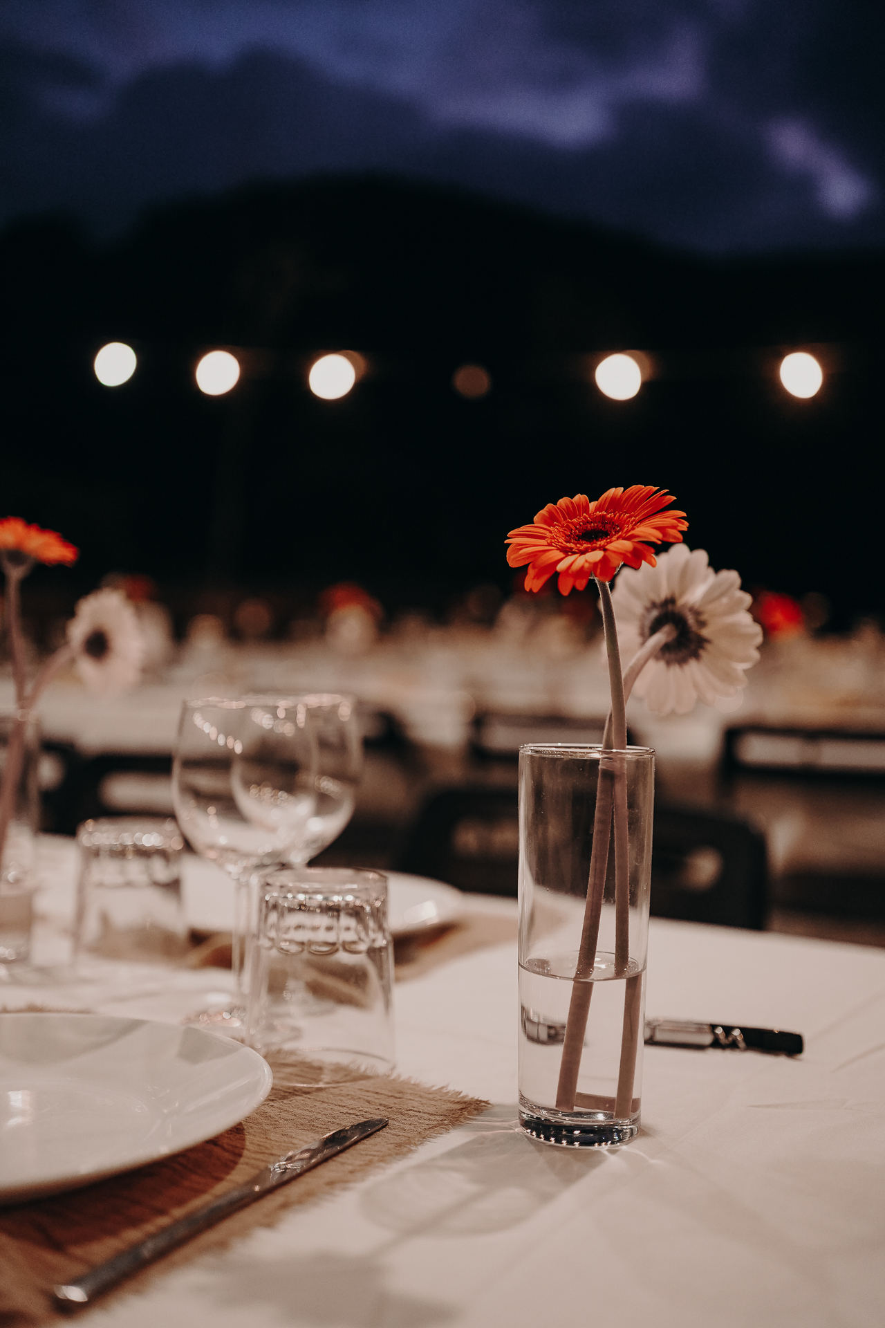 Casament Gina & Ferran _0756